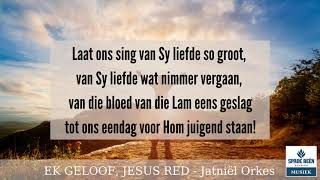 Ek geloof Jesus red [upl. by Taffy]