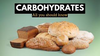 Carbohydrates Everything You Need To Know [upl. by Florida426]