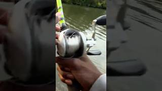 solid birdsnest fishing bassfishing [upl. by Ime364]