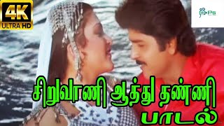 சிறுவாணி ஆத்து தண்ணி Siruvaani Aathu Thanni Mano ChitraLove Duet Melody Song [upl. by Greyso602]