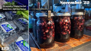 Water Bath Canning Whole Blueberries  Preserving the Glut  Fowlers Vacola  Off Grid Australia 153 [upl. by Palmer]