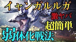 イャンガルルガ弱体化が簡単すぎる【MHWアイスボーン】Yian Garuga’s not well known weaknessShoot scatternuts【ICEBORNE】 [upl. by Gupta]