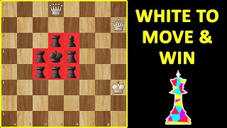 Chess Challenge  Solve This If YOU Can  Chess Endgame Puzzle Tactics Moves amp Ideas [upl. by Boothe546]