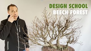 Design School  Beech Forest bonsai Fagus Sylvatica [upl. by Aneekas]