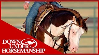 Clinton Anderson Presents Titan a Legend in the Making Lesson 5 Part 3  Downunder Horsemanship [upl. by Reginald]