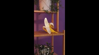 DIY EcoFriendly Banana Lamp 🍌💡 DIY creative lifehacks [upl. by Whittemore570]