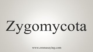 How To Say Zygomycota [upl. by Acyssej]