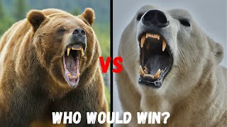 GRIZZLY BEAR vs POLAR BEAR  Whos The KING of Bear [upl. by Knorring]