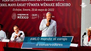 ”¡Qué se vayan al carajoquot dice AMLO a conservadores tras contratación de médicos cubanos [upl. by Eirlav395]