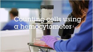 Counting cells using a hemocytometer video protocol [upl. by Chantal804]