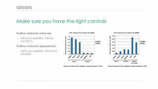 Immunoprecipitation IP Controls [upl. by Orit]