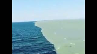 Shocking Two rivers which never meet  As said in QURAN 1400 years Ago  YouTube By InfoLogy [upl. by Siblee924]