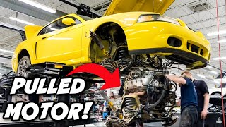 Is the Motor Toast Barnfind 03 Terminator Cobra Mustang Gets Full Detail  Part 2 [upl. by Pegg]