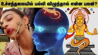 பல்லி விழும் பலன்கள்  அடடா ஆன்மீகம்  Aadhan Aanmeegam [upl. by Neitsirk522]