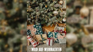 Wilde Weihnachten  Perfekte Romanze Hörbuch [upl. by Debra742]