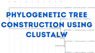 Phylogenetic tree construction using CLUSTALW [upl. by Chassin]