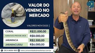 Aula Gratuita Criação Serpentes 56 min zap prof Marcos eu mesmo te atendo 15996361130 [upl. by Bose108]