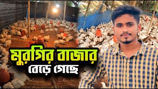 ব্রয়লার মুরগির বাজার বেড়ে গেছে  পাঙ্গাস মাছ  Fisheries [upl. by Ardys26]