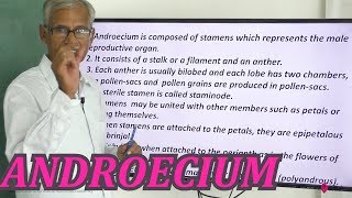 Morphology Of Flowering Plants NCERT Solutions ANDROECIUM [upl. by Alrad]