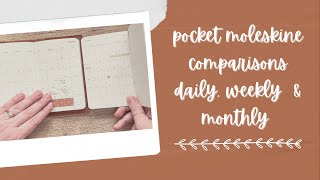 Pocket Moleskine  Daily Weekly amp Monthly [upl. by Anilet]