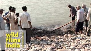 Hindu funeral rites at Chandi ghat of Haridwar [upl. by Alim]