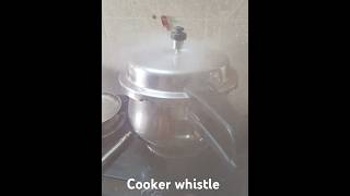 Cooker whistle [upl. by Itsyrk]