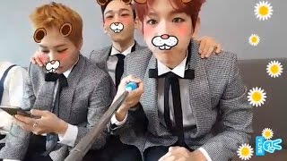 EXO  CBX EXOCBX LIVE highlight [upl. by Ielhsa191]