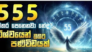 555 Angel number meaning in sinhala [upl. by Lohman]