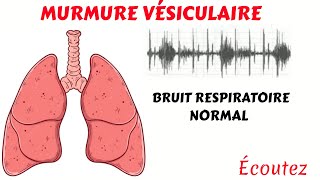 Écoutez le MURMURE VÉSICULAIRE Le bruit respiratoire normal [upl. by Beaufert]