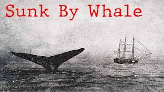 Whaleship Essex The Story That Inspired Moby Dick [upl. by Atener]