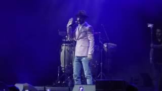 Sami Beigi  live Hamburg 2017 1 [upl. by Pernell119]