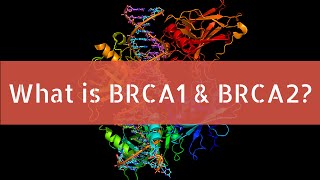 What is BRCA1 and BRCA2 [upl. by Ytsim]