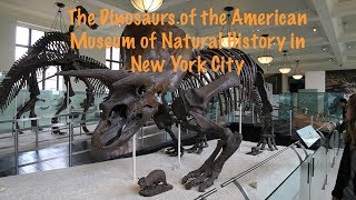 The Dinosaurs of the American Museum in New York City [upl. by Hild]