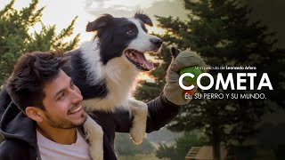 Los 10 mejores PERROS en las películas [upl. by Audi]