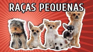 RAÇAS DE CACHORROS PEQUENOS CARACTERÍSTICAS  LISTÃO [upl. by Nolaj]