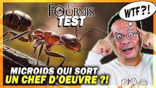 Jai fini Les Fourmis  lun des plus beaux et surprenants jeux de lannée  TEST  GAMEPLAY 4K [upl. by Annua]