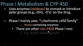 Phase I Metabolism  Pharmacology Lect 7 [upl. by Cai]