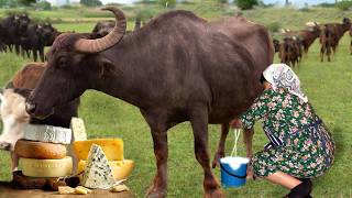 From Farm to Table Making Mozzarella Cheese from Fresh Buffalo Milk [upl. by Charlot]