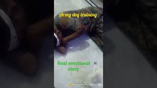 😭😭real emotional pamelyn dog 🐶🩸youtube shorts videopl like and subscribe 👍🙏👈9474 [upl. by Eisso56]