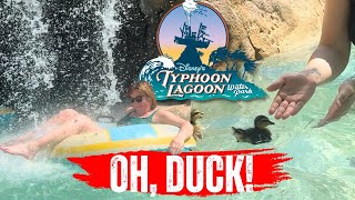 Is Typhoon Lagoon Worth the Trip [upl. by Mendez]