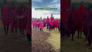 Masai Tribes in Kenya Africa Masaimar KenyaSafari Safari [upl. by Kassie]