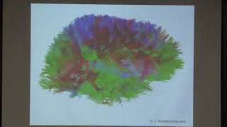 New States in Complex Systems [upl. by Blithe997]