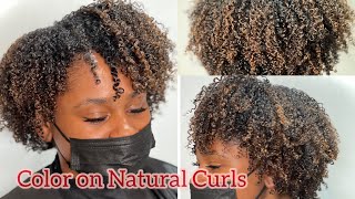 Highlights NO BLEACH on Natural Curls [upl. by Edahs]