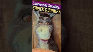 Best Shrek’s Donkey Universal Studios [upl. by Rot900]