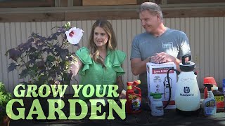 How to protect your garden from mosquitoes amp other pests  Grow Your Garden [upl. by Dorry]