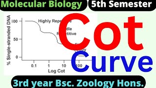 Cot Curve ll Analysis of renaturation of DNA ll Application of Cot Curve method [upl. by Enileuqaj]