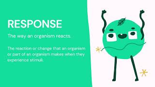 CSEC Review Biology  Module 4  Topic 4  Sensitivity and Coordination Introduction [upl. by Foss635]