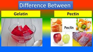 Difference Between Gelatin and Pectin [upl. by Terry]