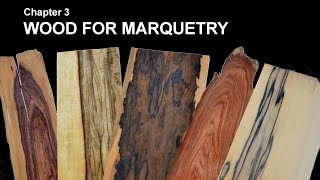 03 Wood for marquetry [upl. by Irrem]