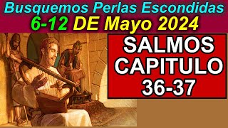 Busquemos PERLAS ESCONDIDAS de esta semana 612 de Mayo 2024 Comentarios [upl. by Tiga]